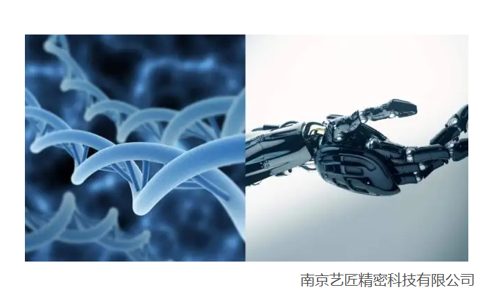 <strong>現(xiàn)代醫(yī)學以及生物工程技術的精密零件器材的發(fā)展</strong>